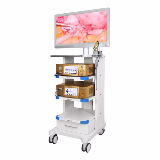 El endoscopio de la cámara del endoscopio 3D parte el sistema endoscópico médico de la cámara 3D para la laparoscopia/artroscopia
